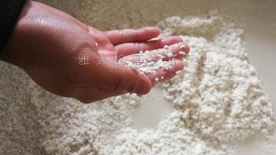 10年釀酒經(jīng)驗(yàn)的大型釀酒設(shè)備廠家，教您做金銀花糯米酒！