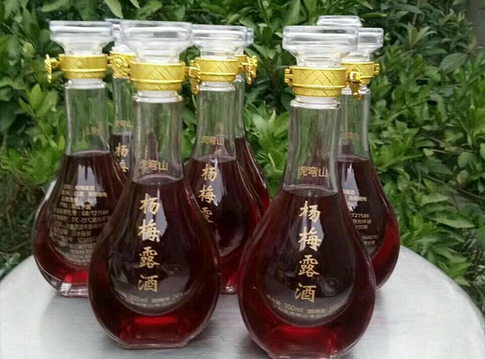 果酒釀酒設備釀造楊梅酒