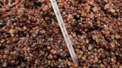 821發(fā)酵過程中請控制好溫度.jpg