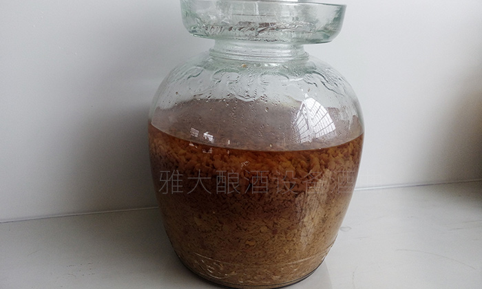 10.10紅棗釀酒技術-紅棗酒發(fā)酵完成