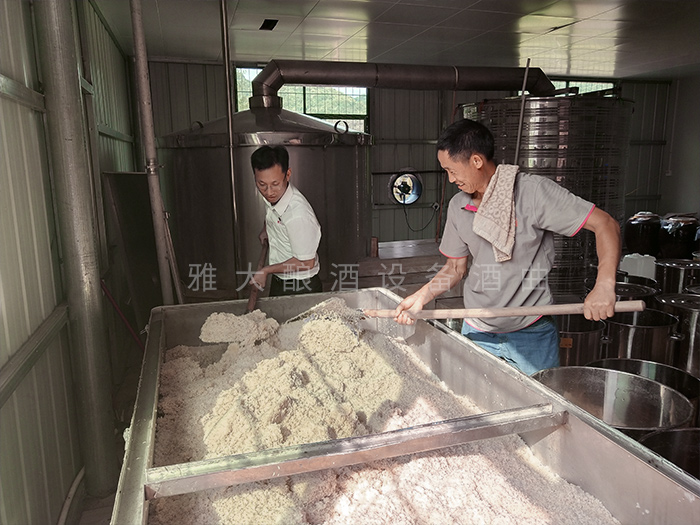 11.20雅大蔣總上門指導大米酒制作